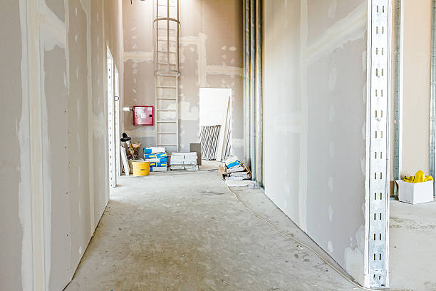 Best Airborne Mold Testing  in Solomons, MD