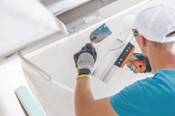Best Environmental Consulting for Mold Prevention  in Solomons, MD